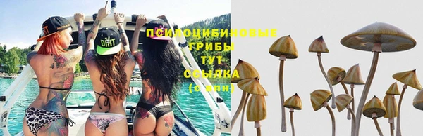 скорость Медвежьегорск