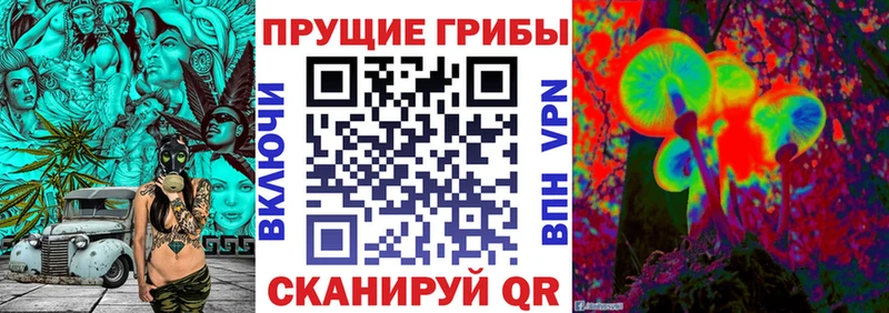 как найти закладки  Монино  мега ССЫЛКА  Псилоцибиновые грибы прущие грибы 